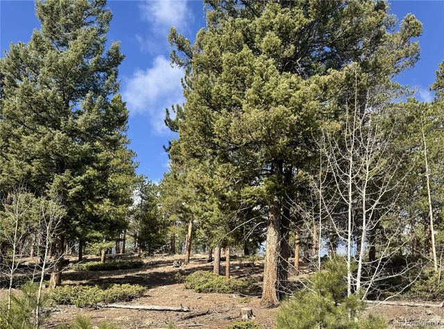 30317 Aspen Turn, Buena Vista, CO 81211