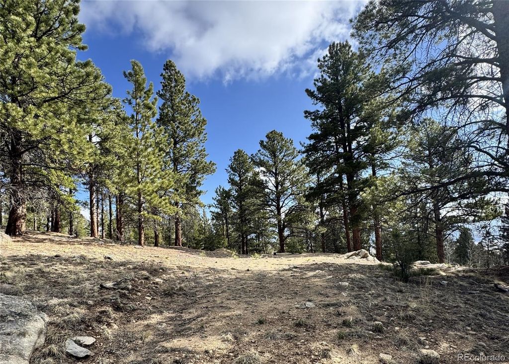 30317 Aspen Turn, Buena Vista, CO 81211