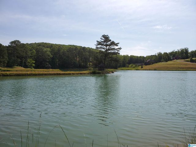 950 REDHAWK RIDGE, Springville, AL 35146