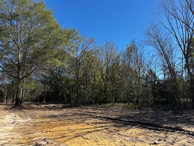 231 PRIVATE RD 8507, Van, TX 75790
