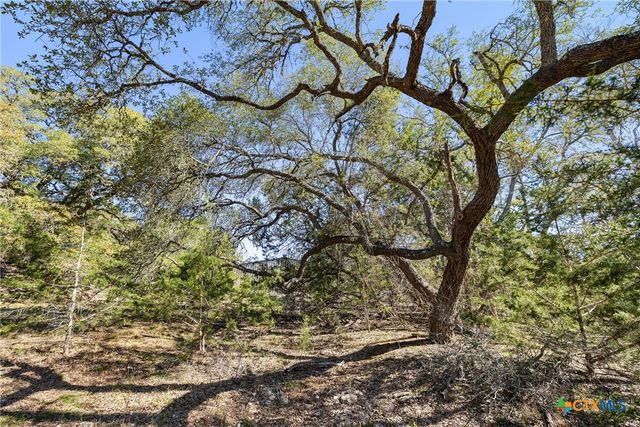 111 La Luna Drive, Blanco, TX 78606