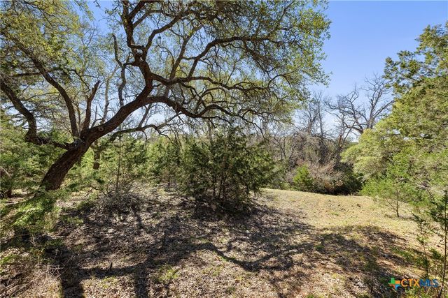 111 La Luna Drive, Blanco, TX 78606