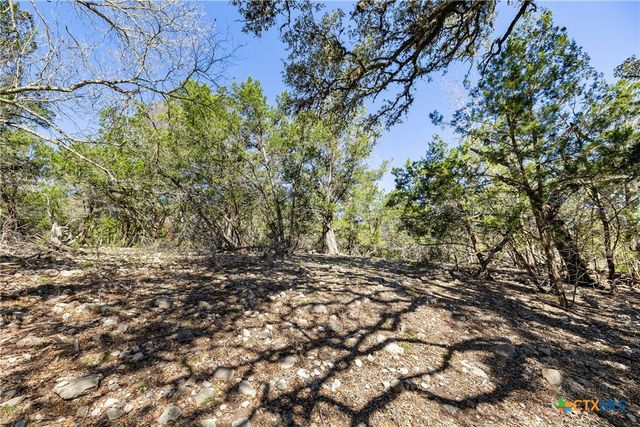 111 La Luna Drive, Blanco, TX 78606