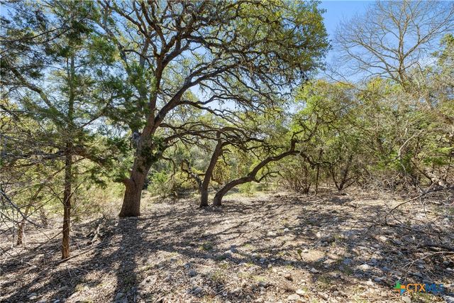 111 La Luna Drive, Blanco, TX 78606