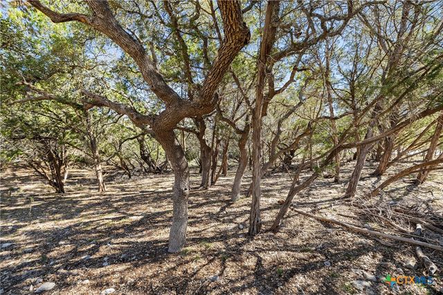 111 La Luna Drive, Blanco, TX 78606