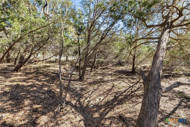 111 La Luna Drive, Blanco, TX 78606