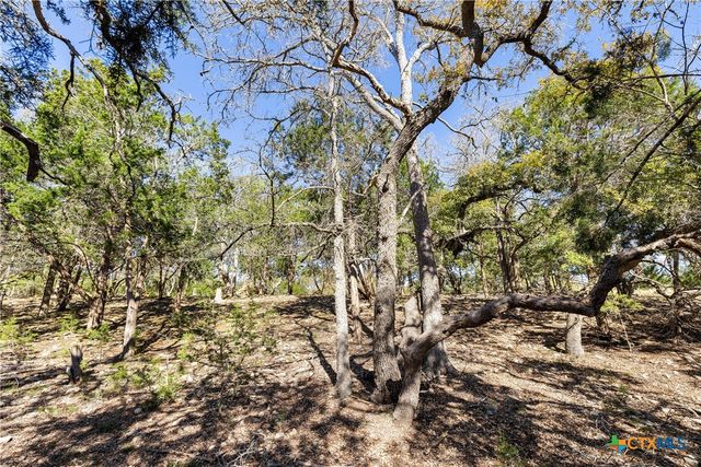 111 La Luna Drive, Blanco, TX 78606