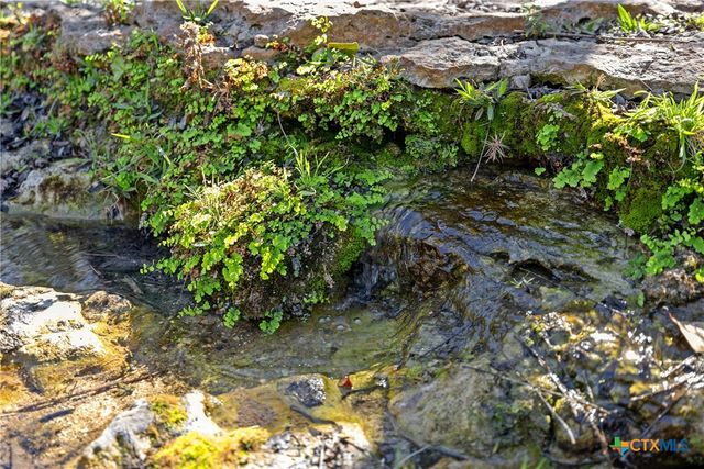 111 La Luna Drive, Blanco, TX 78606