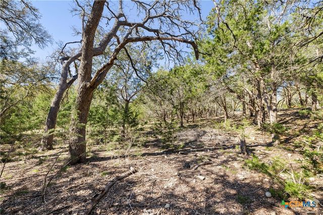 111 La Luna Drive, Blanco, TX 78606