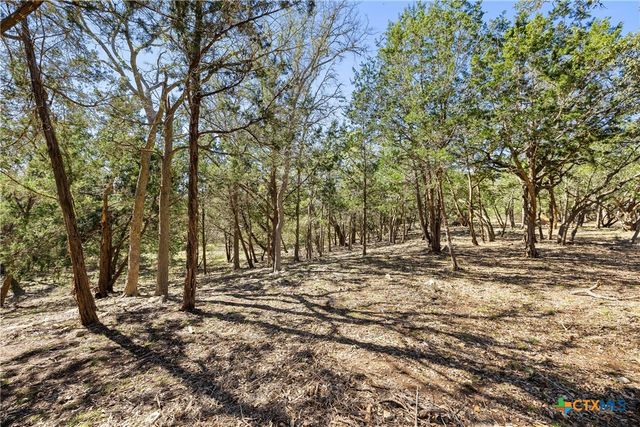 111 La Luna Drive, Blanco, TX 78606