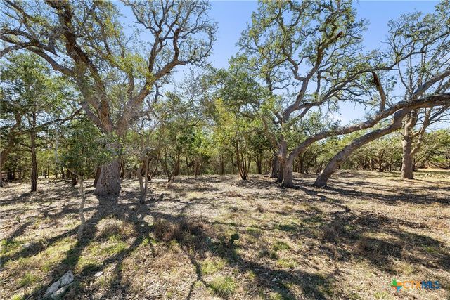 111 La Luna Drive, Blanco, TX 78606