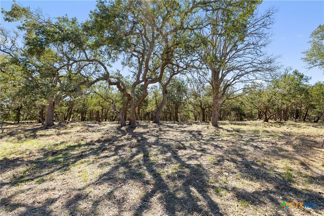 111 La Luna Drive, Blanco, TX 78606
