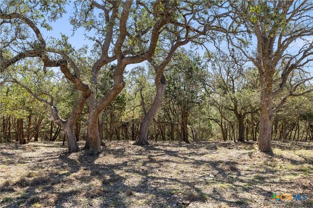 111 La Luna Drive, Blanco, TX 78606