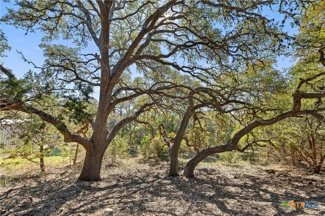 111 La Luna Drive, Blanco, TX 78606