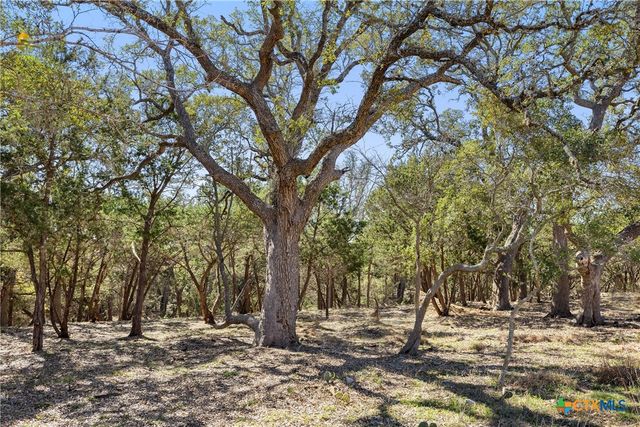 111 La Luna Drive, Blanco, TX 78606