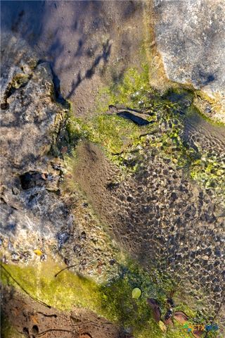 111 La Luna Drive, Blanco, TX 78606