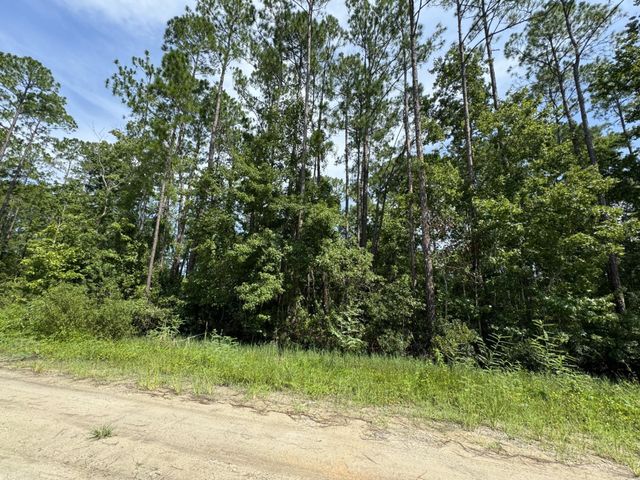 128 Domingo Rd, Satsuma, FL 32189