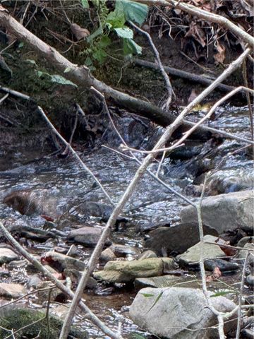 11268 Slo Fork Road, Dardanelle, AR 72834