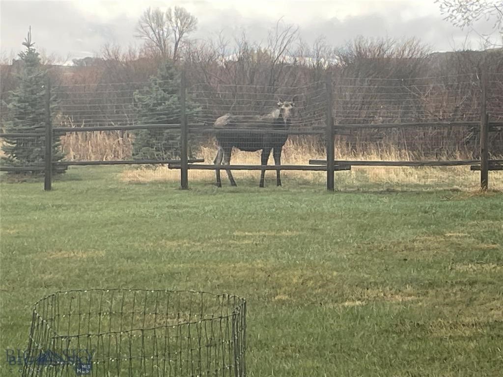 13 Sheffield Drive, Ennis, MT 59729 photo 31