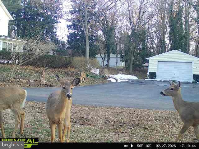 201 ERICSSON AVE, Betterton, MD 21610