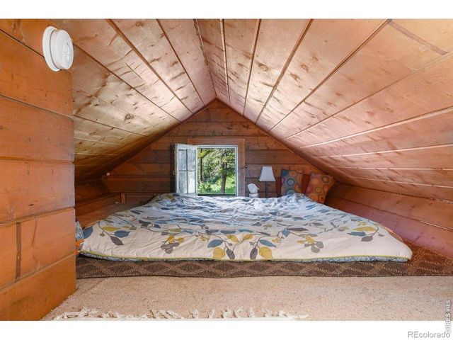 1410 Caribou Road, Nederland, CO 80466