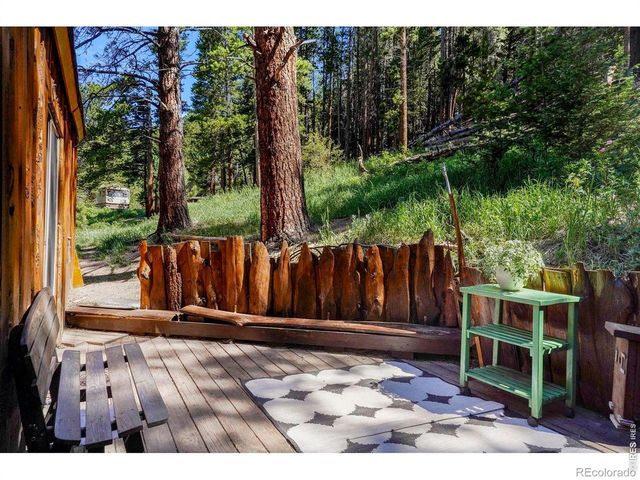 1410 Caribou Road, Nederland, CO 80466