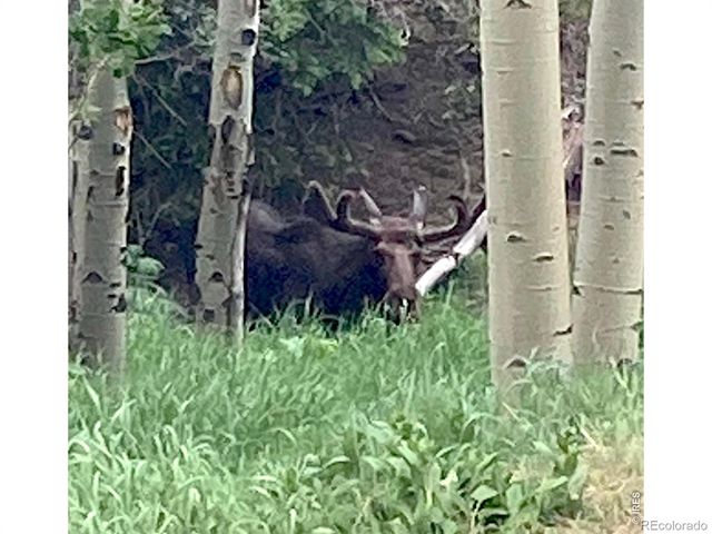 1410 Caribou Road, Nederland, CO 80466