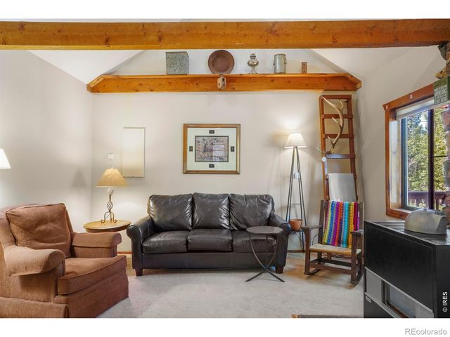 1410 Caribou Road, Nederland, CO 80466