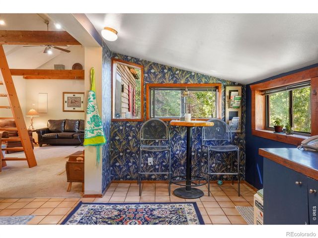 1410 Caribou Road, Nederland, CO 80466