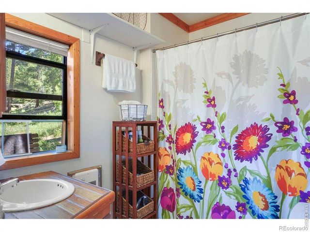 1410 Caribou Road, Nederland, CO 80466
