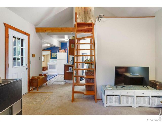 1410 Caribou Road, Nederland, CO 80466