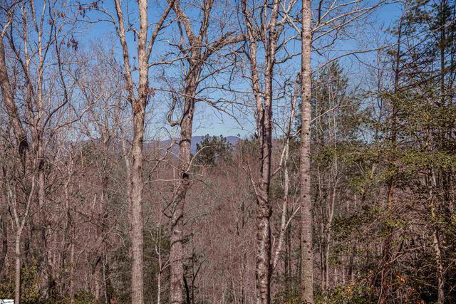 450 Crestwood Drive, Salem, SC 29676