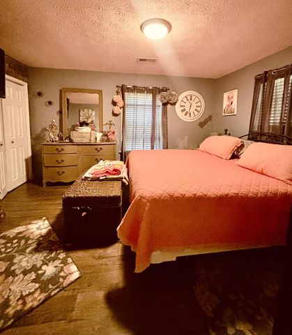 385 Anita Lane, Ledbetter, KY 42058