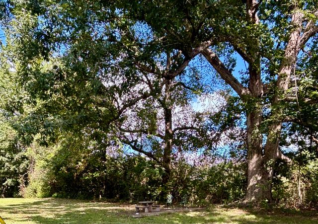 385 Anita Lane, Ledbetter, KY 42058