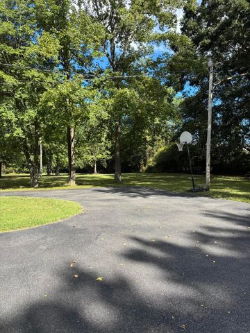 385 Anita Lane, Ledbetter, KY 42058