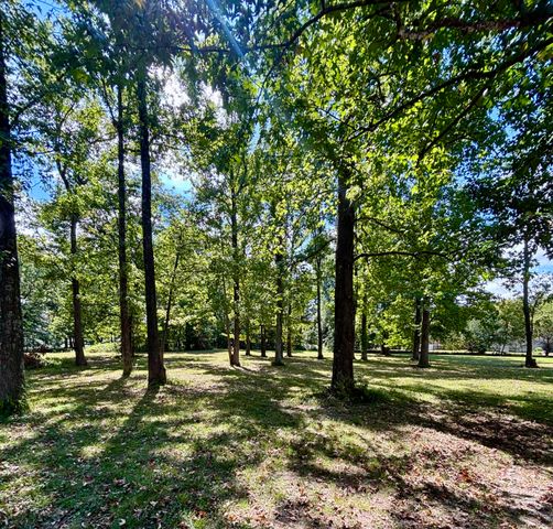 385 Anita Lane, Ledbetter, KY 42058