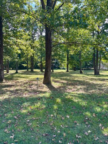 385 Anita Lane, Ledbetter, KY 42058