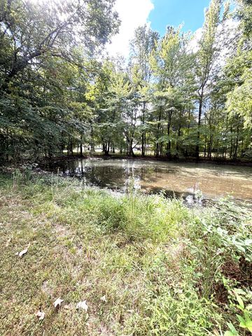 385 Anita Lane, Ledbetter, KY 42058