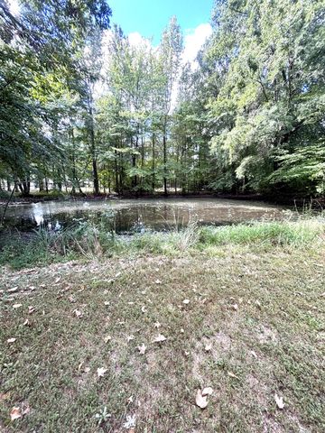 385 Anita Lane, Ledbetter, KY 42058