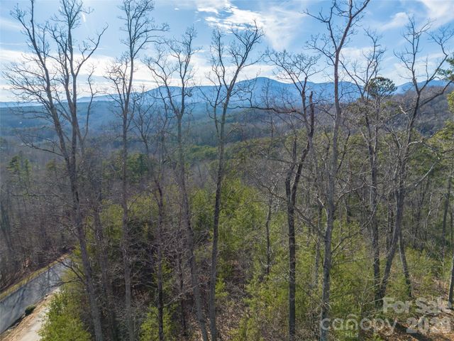 223 Rock Ledge Drive, Lake Lure, NC 28746