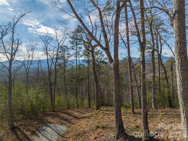 223 Rock Ledge Drive, Lake Lure, NC 28746
