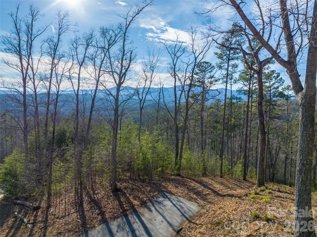 223 Rock Ledge Drive, Lake Lure, NC 28746