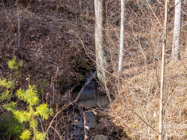223 Rock Ledge Drive, Lake Lure, NC 28746