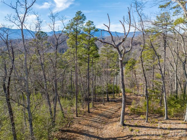 223 Rock Ledge Drive, Lake Lure, NC 28746