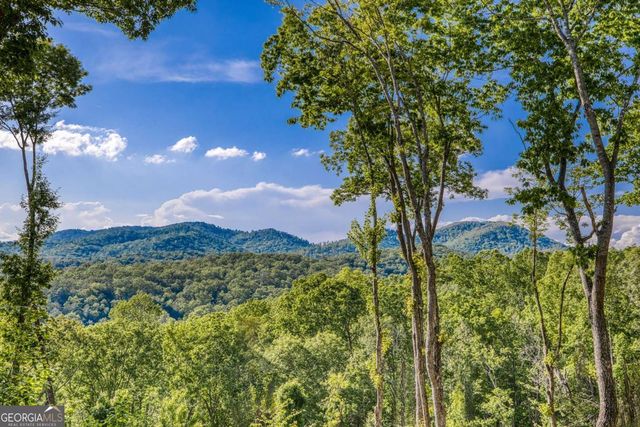 245 Mountain Retreat Drive, Morganton, GA 30560