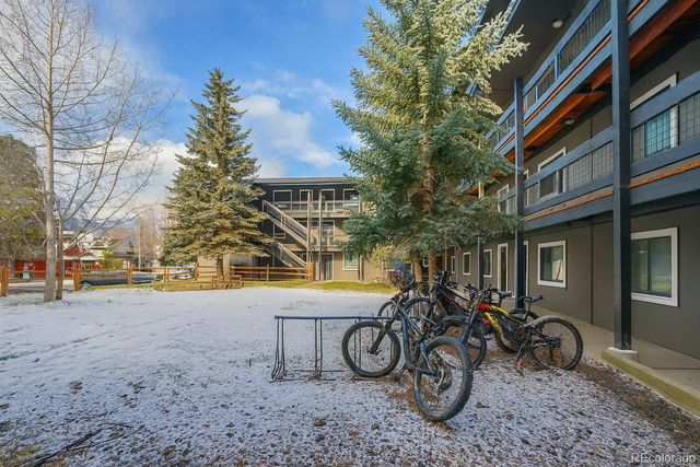 214 S Harris Street 101, Breckenridge, CO 80424