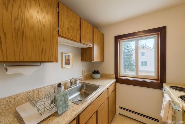 214 S Harris Street 101, Breckenridge, CO 80424