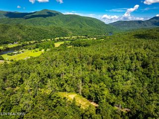 37+/- Hambright Dr Rd, Reliance, TN 37369