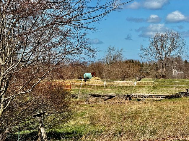 582 Brooks Road, Henrietta, NY 14586