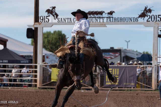 105 LOS ENCINOS Road, Sonoita, AZ 85637